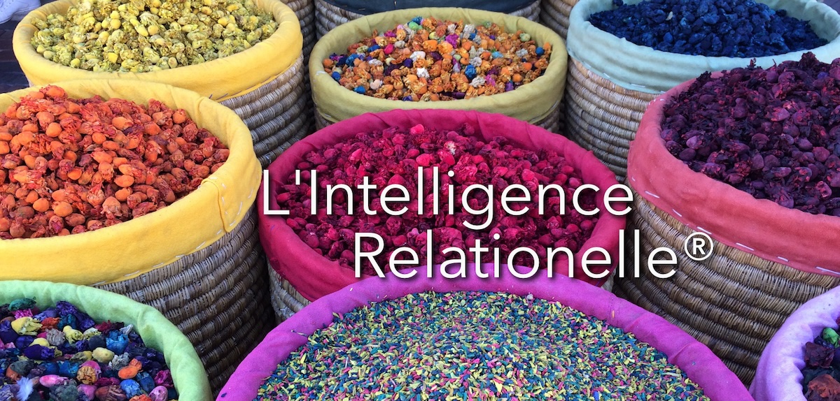 L’Intelligence Relationnelle